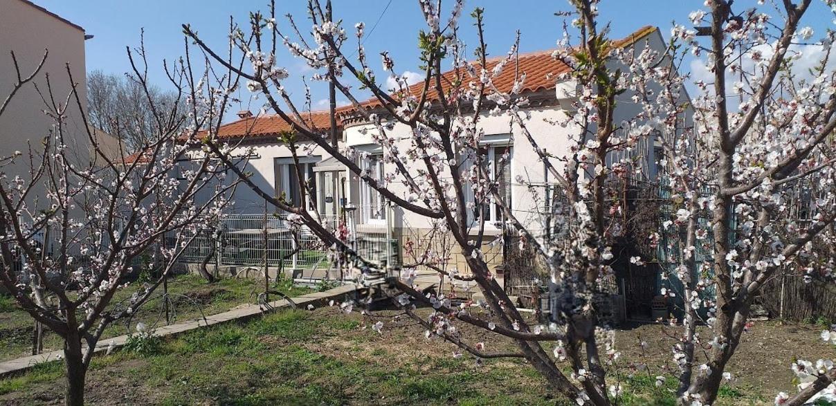 La Maison Du Bonheur Saint Laurent de la Salanque Bagian luar foto